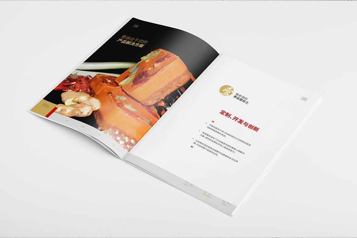 蜀参谋画册设计6