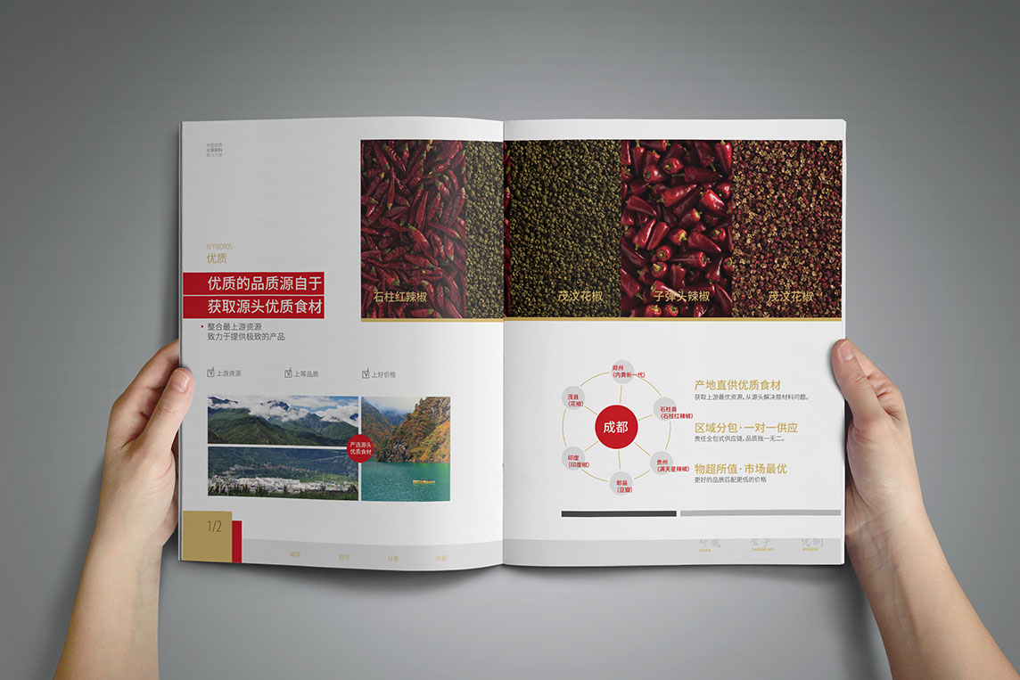 蜀参谋画册设计5